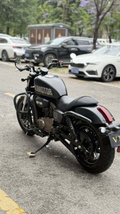 QJMOTOR Flash 300 - ფოტო 5