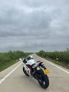 Kayo 450RR - ფოტო 3