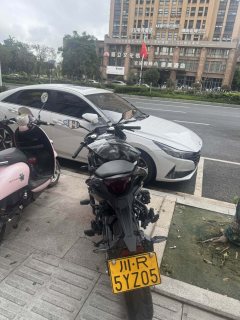 CFMOTO 250SR - ფოტო 2