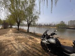 Benelli Jinpeng TRK502 500 cc - ფოტო 1