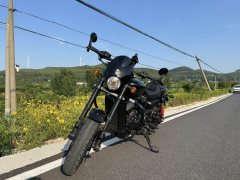 Harley-Davidson Street 750 - ფოტო 2