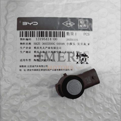 HA2E-3603300G-00 HAN BYD Dolphin, Song MAX DM-i