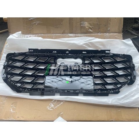 4CG 853 651B IXG, 4CG 853 651C IXG, 4CG 853 651A IXF Grille Audi Q6