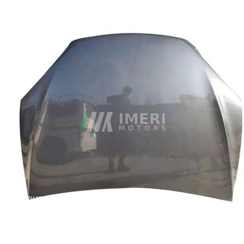 1069531-E0-C Hood Tesla Model X