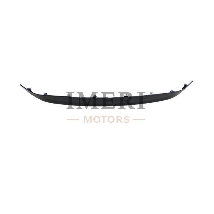 Radiator Grille Trim - Toyota BZ4X