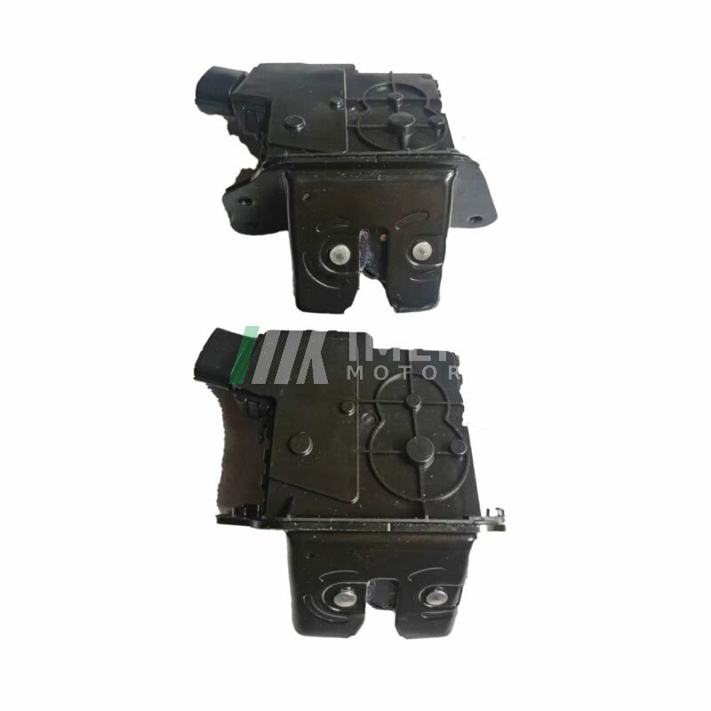 Tailgate Lock - Toyota BZ4X - 1