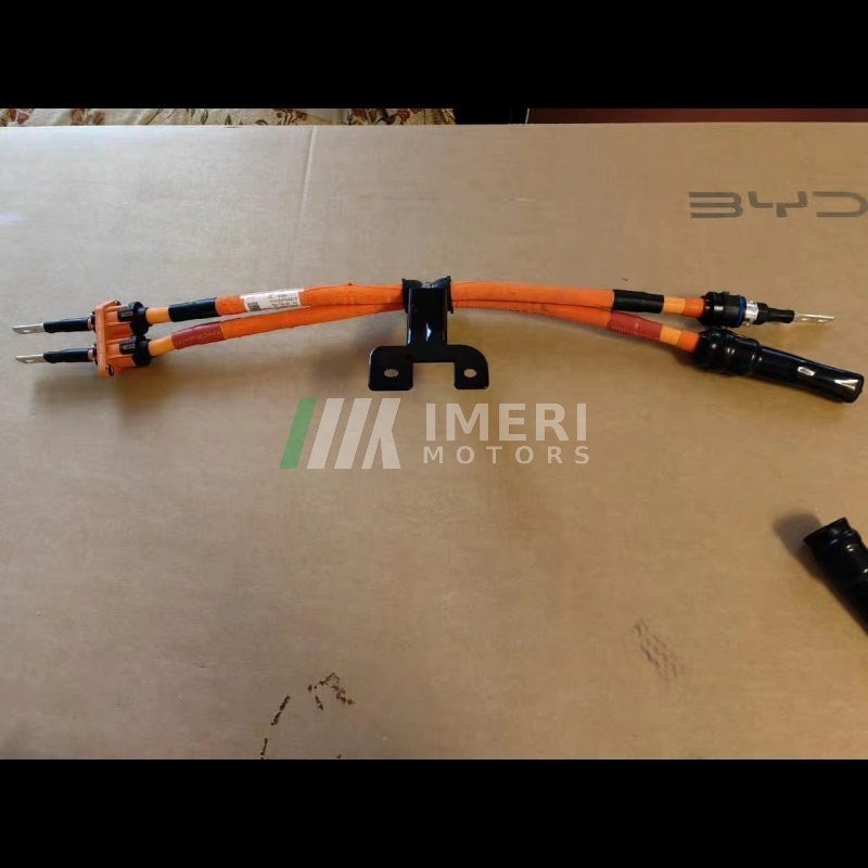 Charging Harness - BYD Dolphin - 2