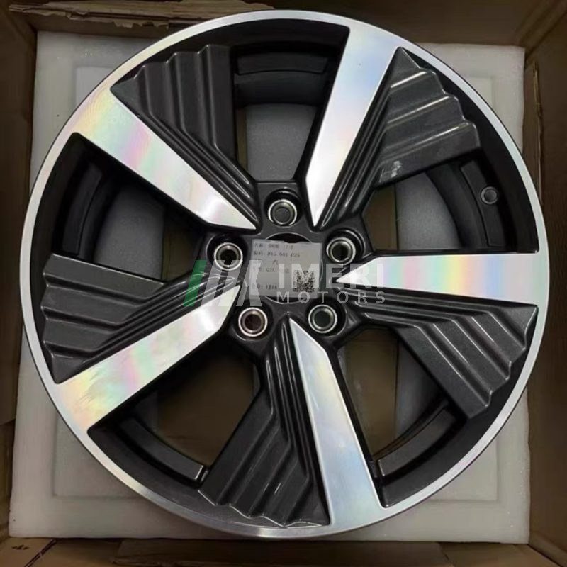 Front Wheel Hub Steel Rim - Audi Q2L