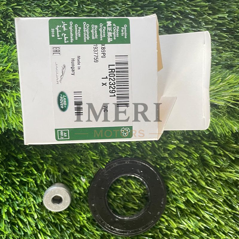 Oil Seal