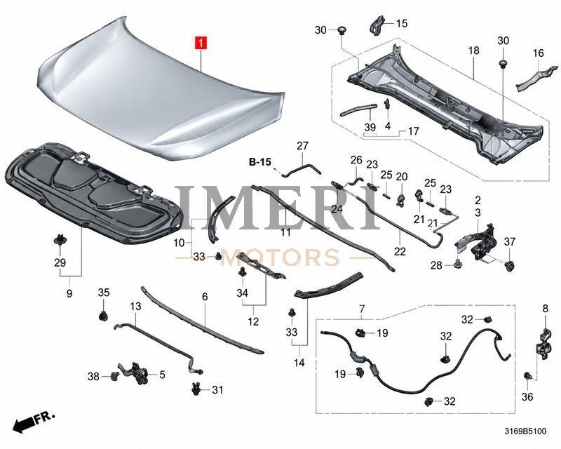 Hood / Bonnet - Honda NS