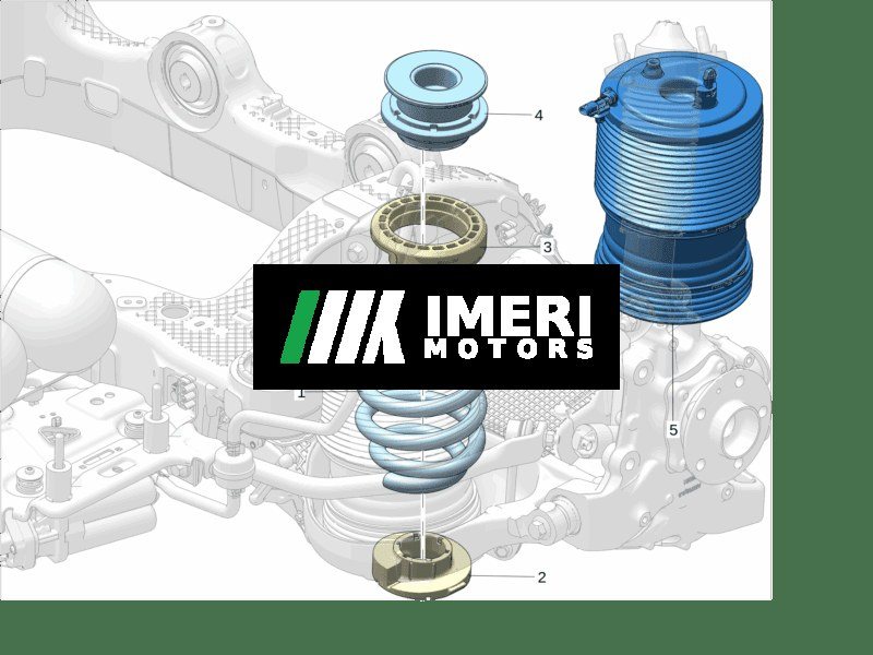 Rear Coil Spring