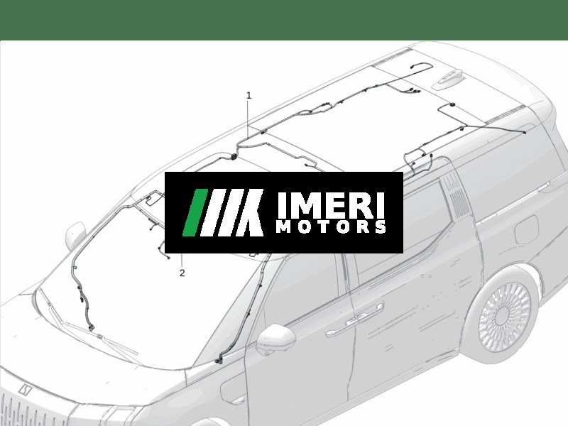 Headliner Wire Harness - Zeekr 009