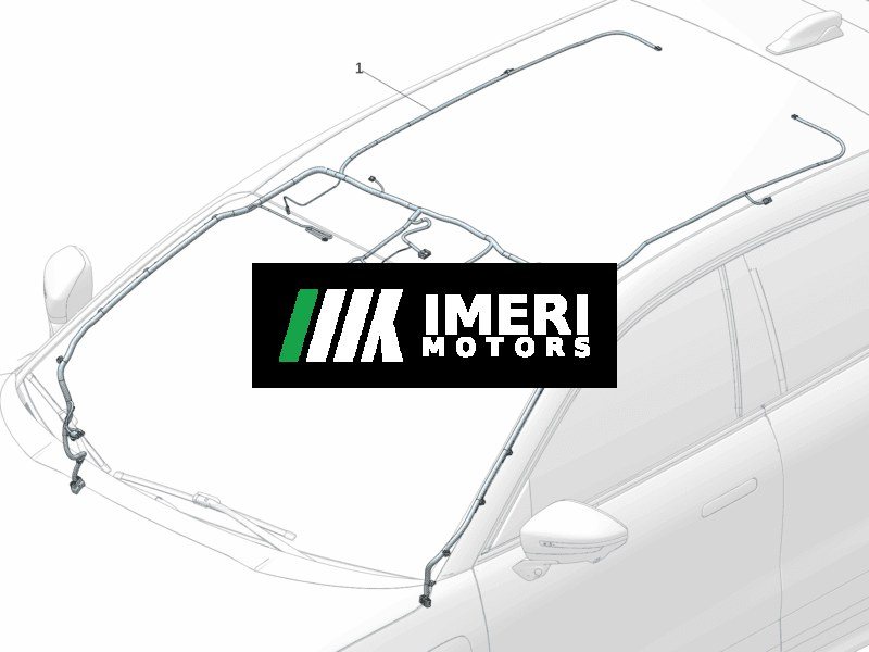 Headliner Wiring Harness - Zeekr 001
