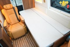 Ford Weihang RV 2.0L - ფოტო 8