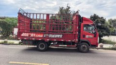 SINOTRUK HOWO Light Duty Truck Hanjiang 156 hp 4X2 4.15 m - фото 6