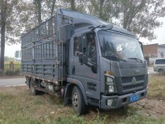 SINOTRUK HOWO Light Duty Truck Commander PRO 155 hp 4X2 4.15 m - photo 3