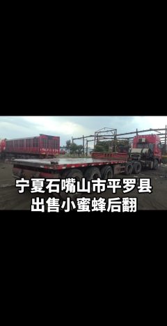 9 m x2.55 m 3 semi-trailer - ფოტო 2