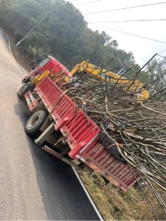 Sinotruk Hohan Haohan J5G 160 hp 4 m - photo 2
