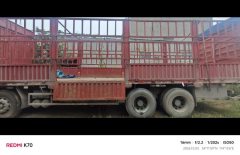 FAW Jiefang J6P 460 hp 8X4 9.4 m - фото 3