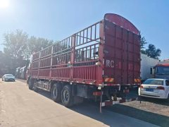 Dongfeng Tianlong KL 465 hp 8X4 - фото 6