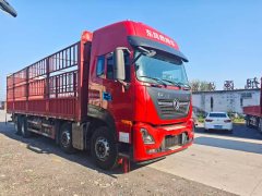 Dongfeng Tianlong KL 465 hp 8X4 - фото 8