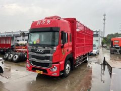 JAC Gallop Gelfa A5 290 hp 4X2 - ფოტო 3
