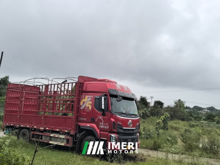 Dongfeng Liuzhou Chenglong H5 300 hp 4X2 6.8 m - სატვირთო ჩინეთიდან