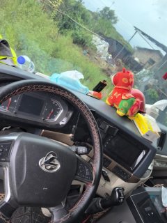 Dongfeng Liuzhou Chenglong H5 300 hp 4X2 6.8 m - ფოტო 7