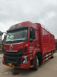 Dongfeng Liuzhou Chenglong H5 260 hp - photo 1