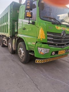 Dongfeng Tuoxing D3 270 hp 8X4 6.2 m - фото 2