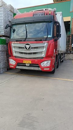 Foton Auman EST 460 hp 8X4 9.45 m - фото 1