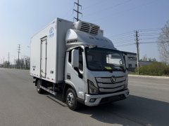 Foton Aumark Series 1 210 hp 4X2 4.08 m - photo 3
