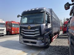 Sinotruk HOWO Max 290 hp 4X2 9.6 m - ფოტო 1