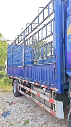 Dongfeng Liuzhou Chenglong H5 290 hp 4X2 6.8 m - фото 2
