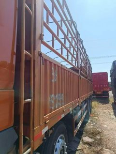 Dongfeng Liuzhou Chenglong H7 420 hp 8X4 9.4 m - photo 3