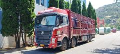 SANY 430 hp 8X4 9.5 m - ფოტო 1