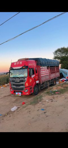 JAC Gallop Gelfa A5 240 hp 4X2 6.8 m - ფოტო 1