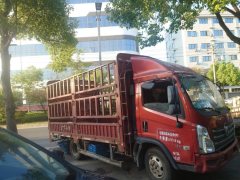 Foton Forland 6 143 hp 4X2 4.2 m - ფოტო 3