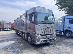 Foton Auman 520 hp 8X4 9.56 m - ფოტო 3