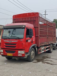 FAW Jiefang Dragon VH 220 hp 4X2 6.75 m - фото 1