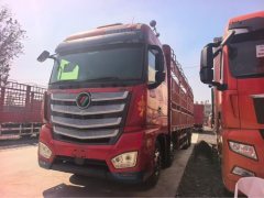 Foton Auman EST 460 hp 8X4 9.53 m - фото 1