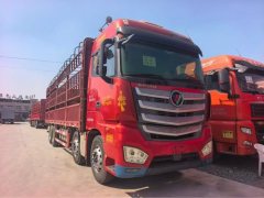 Foton Auman EST 460 hp 8X4 9.53 m - фото 3