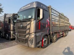 Foton Auman EST Star Shine Edition 580 hp 8X4 9.56 m - ფოტო 1
