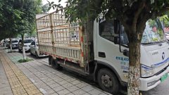 Foton Aumark Aoling ES 4.17 m - ფოტო 3