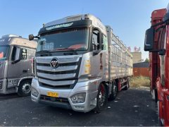 Foton Auman EST 520 hp 8X4 9.56 m - фото 1
