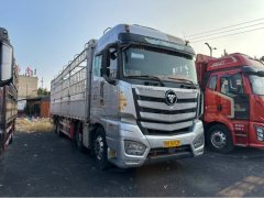 Foton Auman EST 520 hp 8X4 9.56 m - фото 3