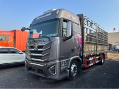 Foton Auman GTL Xingyi Edition 300 hp 4X2 6.2 m - ფოტო 1