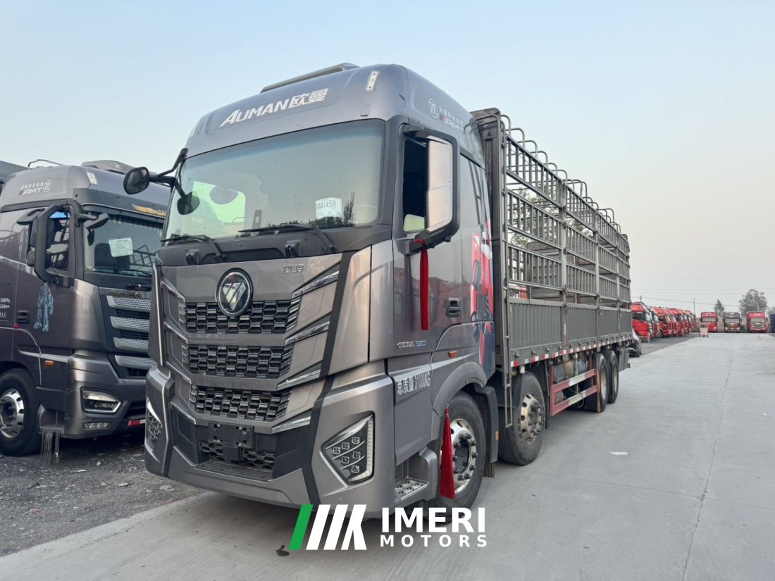 Foton Auman EST Star Shine Edition 580 hp 8X4 9.56 m - truck from China