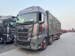 Foton Auman EST Star Shine Edition 580 hp 8X4 9.56 m - photo 1