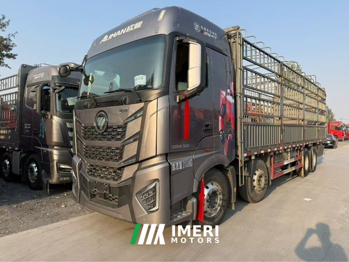 Foton Auman EST Star Shine Edition 580 hp 8X4 9.56 m - truck from China